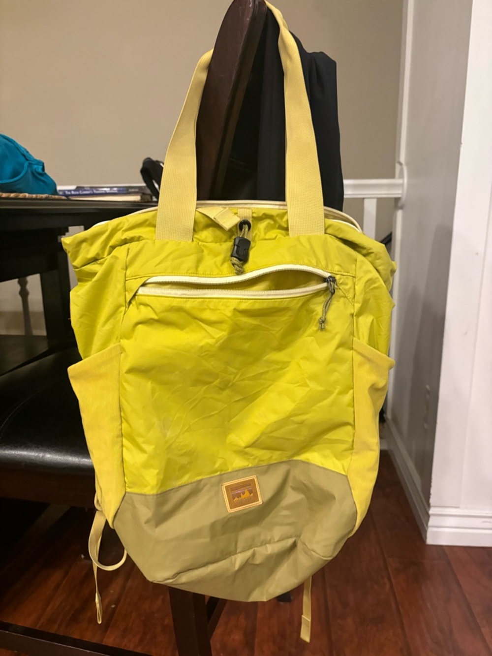 Patagonia Terravia 22L Tote Bag